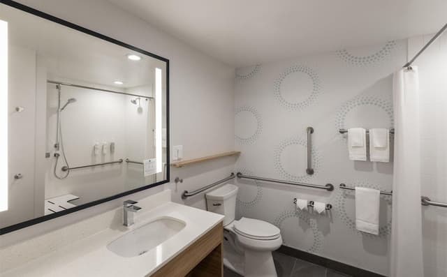 Room, 1 King Bed, Accessible (Mobility & Hearing, Roll-in Shower)