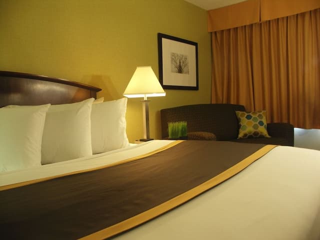 Standard 1 King Bed, Non Smoking