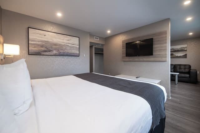 Suite, 1 King Bed