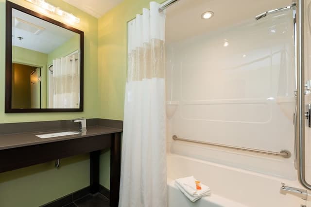 Terra accessible room 1 king bed