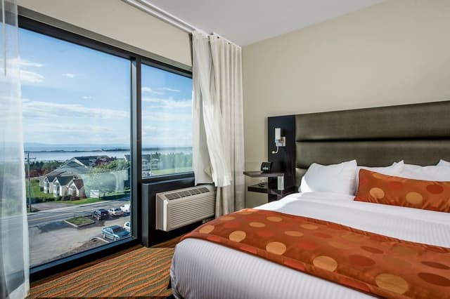 Signature suite 1 king bed