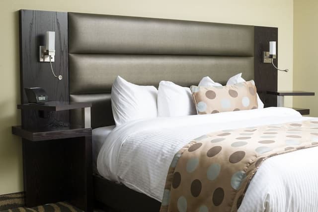 Terra accessible room 1 king bed