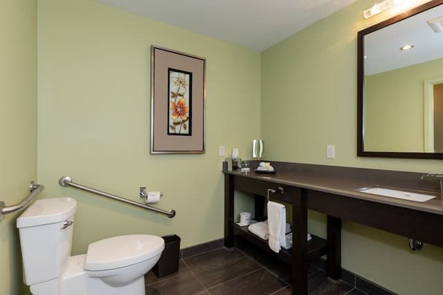 Terra accessible room 1 king bed