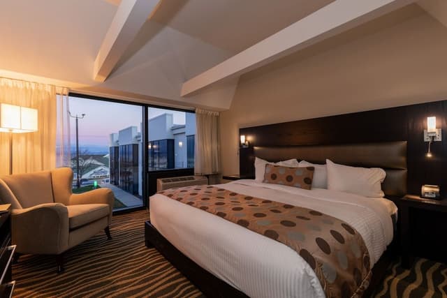 Confort suite 1 king bed