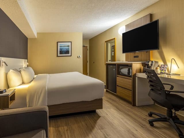 Room, 1 King Bed with Sofa bed, Non Smoking