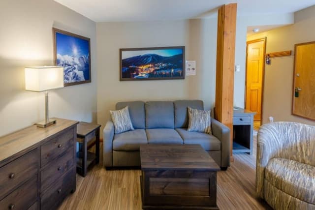 Grand Studio, 1 Queen Bed with Sofa bed, Mountain View
