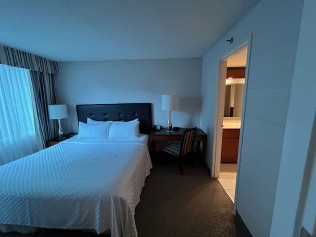 Executive Suite, 1 King Bed with Sofa bed, Executive Level