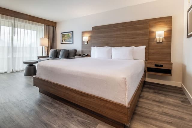 Room, 1 King Bed with Sofa bed, Balcony