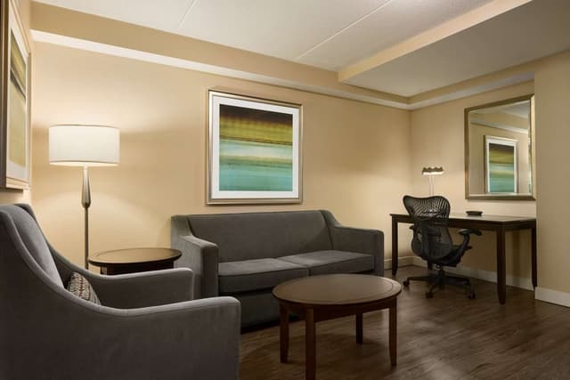 1 KING BED 1 BEDROOM SUITE