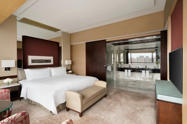 Valley Wing Diplomat Suite