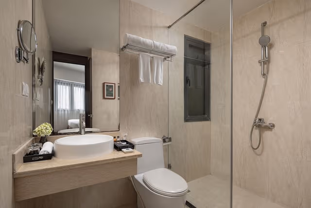 Deluxe With Window