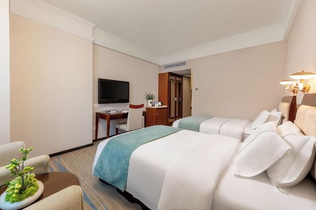 Deluxe Twin Room, City View