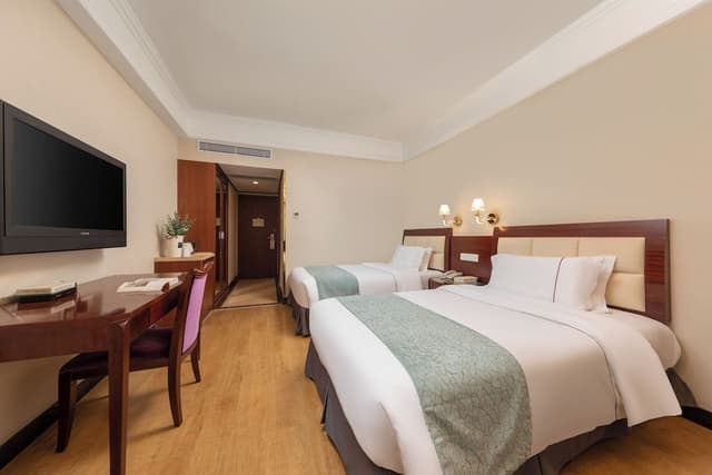 Deluxe Twin Room, City View