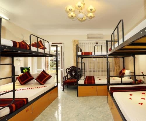 Single Bed in 8-Bed Dormitory