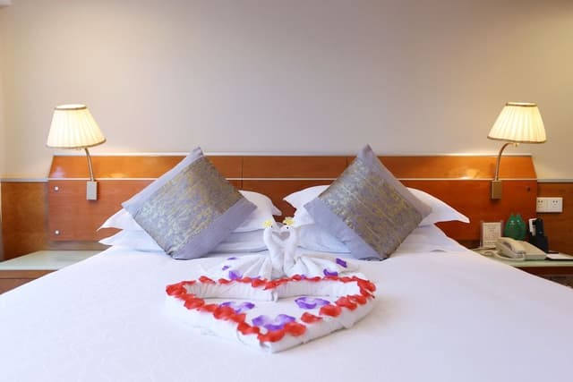 Elegant Single Room