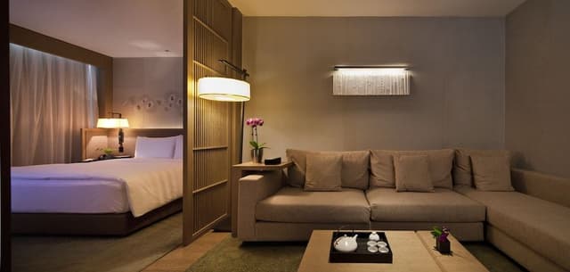 Luxury Suite