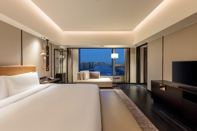 Premium Suite