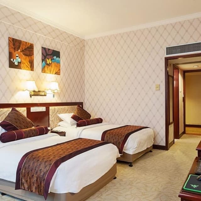 Deluxe Twin Room