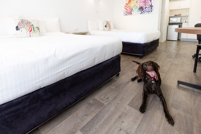Pet Friendly Deluxe Family Room with Two Queen Beds