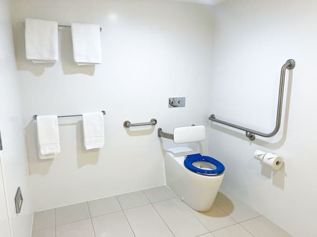 Deluxe Room, Accessible