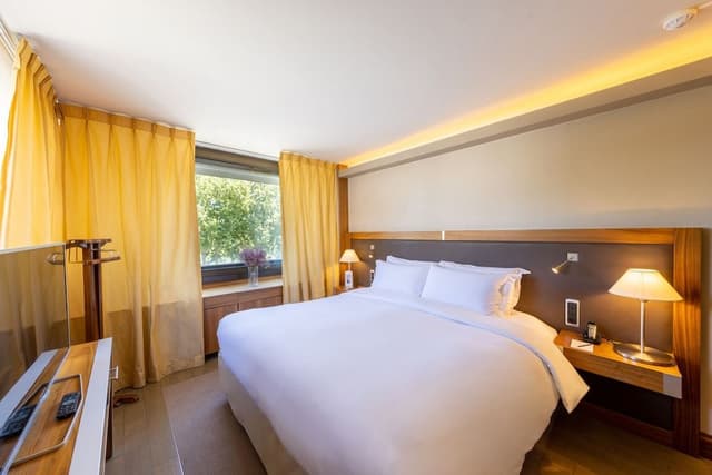 Classic Room, 1 Double Bed