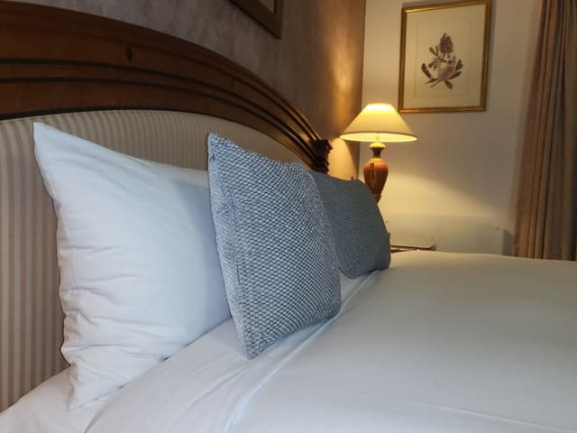 Deluxe Studio, 1 Queen Bed