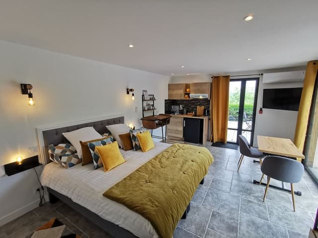 Deluxe Studio (Appartement Annexe)