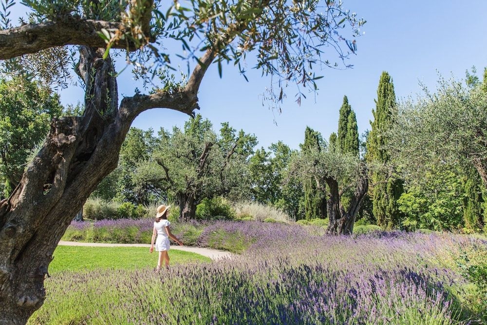 Chateau Saint-Martin And Spa1