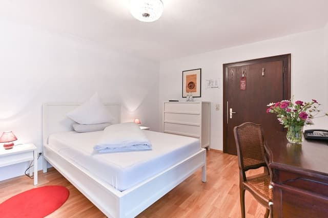 Single Room, 1 Double Bed