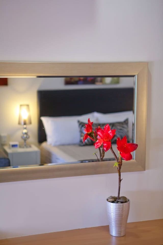 Deluxe Room, 1 Queen Bed, Non Smoking