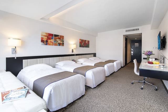 Deluxe Quadruple Room