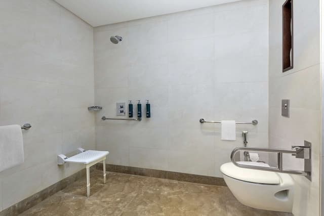 Room, 1 King Bed, Accessible