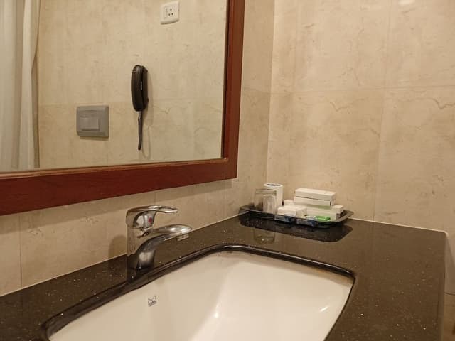 Deluxe Room, 1 King Bed