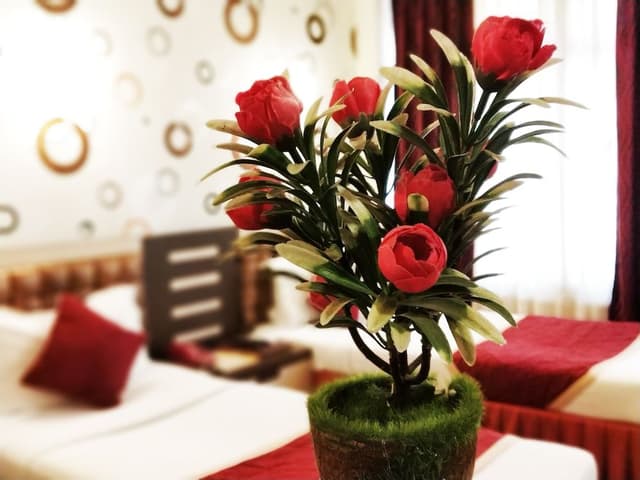 Superior Room, Accessible, City View