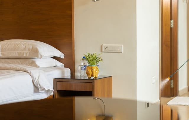Superior Room, 1 King Bed, Smoking