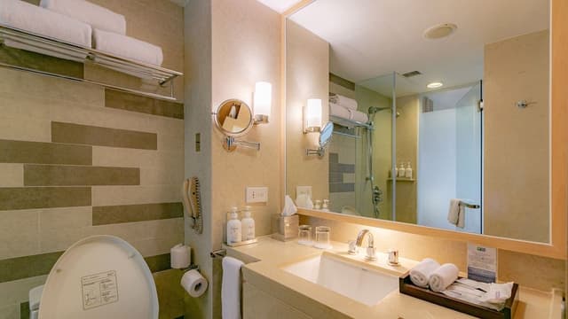 Premium Room, 1 King Bed, Accessible Bathtub, Garden View (Bathtub)