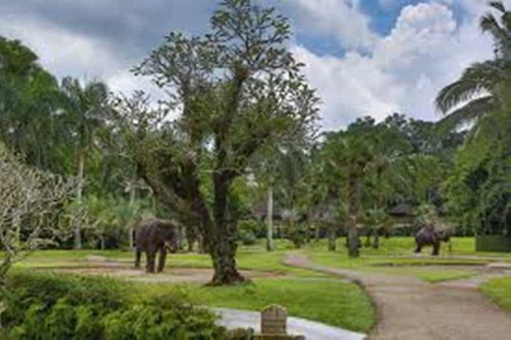 Elephant Safari Park and Lodge Elephant Safari Park and Lodge