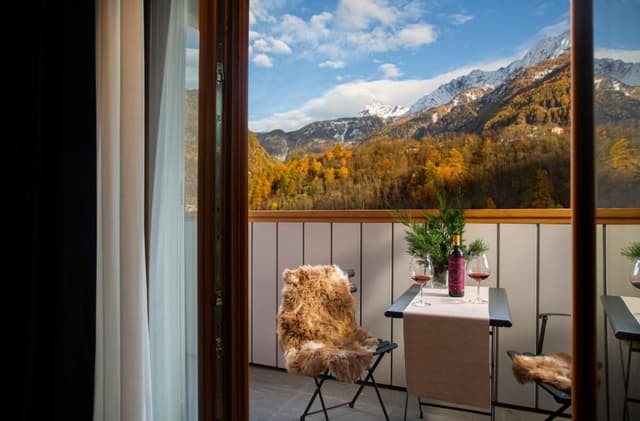 Superior Double or Twin Room with Mountain View