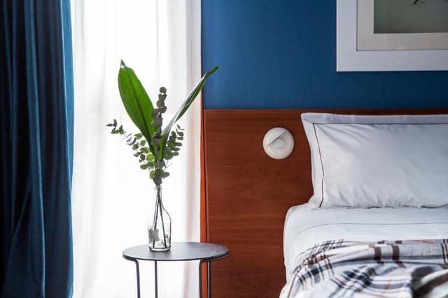 Superior Double or Twin Room with Mountain View