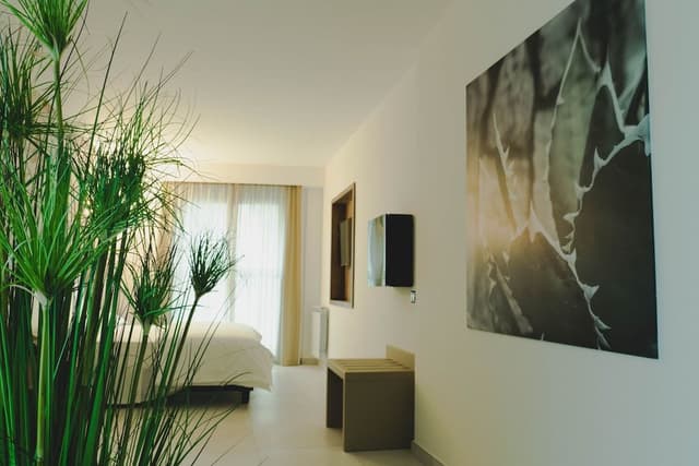 Business Double Room Single Use