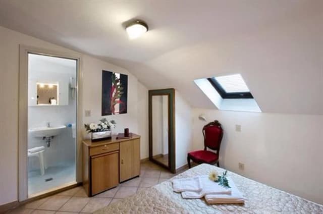 Double or Twin Room (Attic)