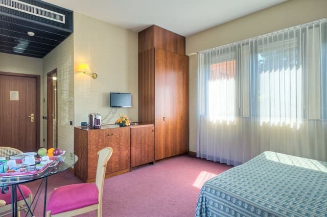 Business Double Room, 1 King Bed, Garden View