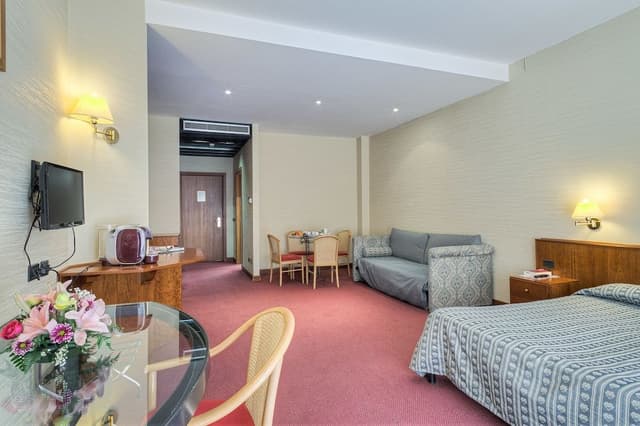 Business Double Room, 1 King Bed, Garden View