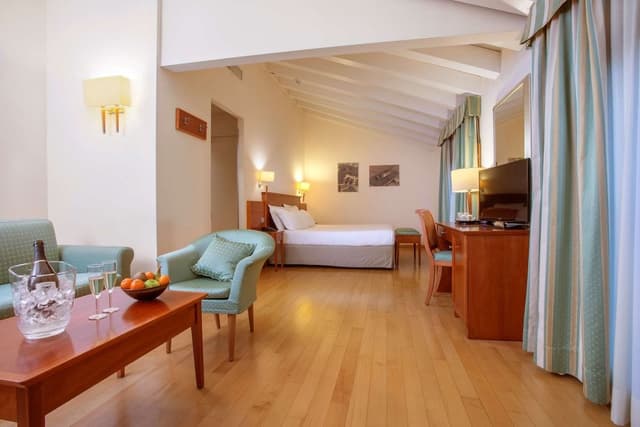 Family Room, 1 King Bed (Sofabed is a double bed)
