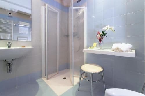 Single Mobility Accessible Room, Roll-In shower