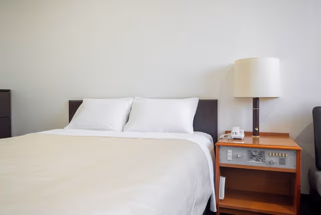 Single Room, Non Smoking (Bed size will be 120 cm)