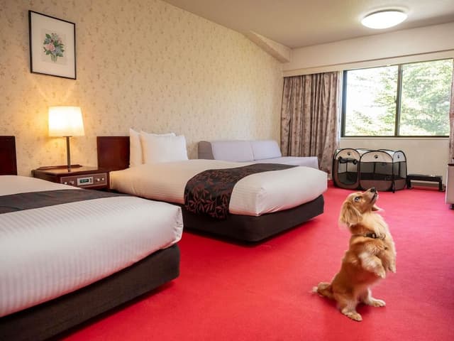 Classic Room with 2 single beds and 1 sofa bed, Dog-friendly