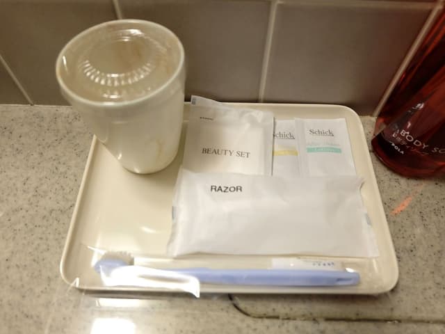 Single Room (can't serve dinner after 8PM check in)