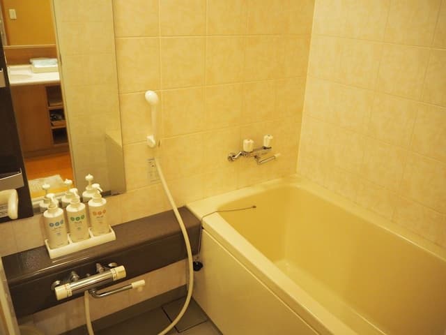 Deluxe Japanese Style Room