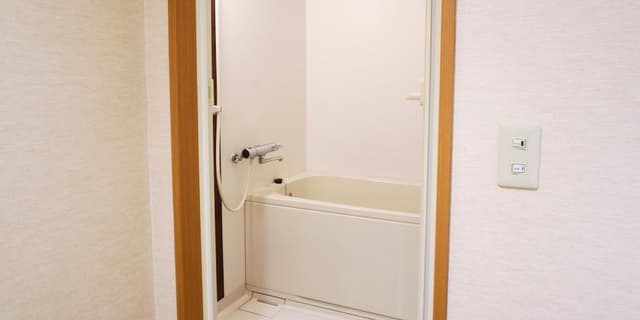 Superior Japanese Style Room Smoking